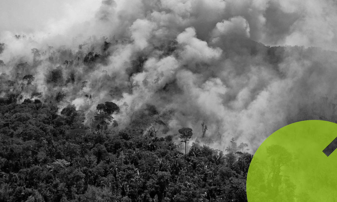 Vista aérea de uma área em chamas da reserva da Floresta Amazônica, ao sul de Novo Progresso, no estado do Pará, em 16 de agosto de 2020. Foto: CARL DE SOUZA / AFP