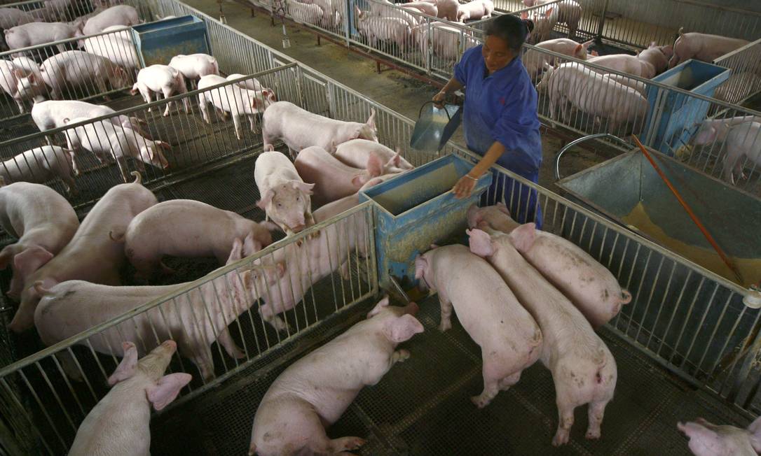 Criação de porcos na província de Sichuan, na China, em imagem de abril de 2009 Foto: STRINGER SHANGHAI / Reuters