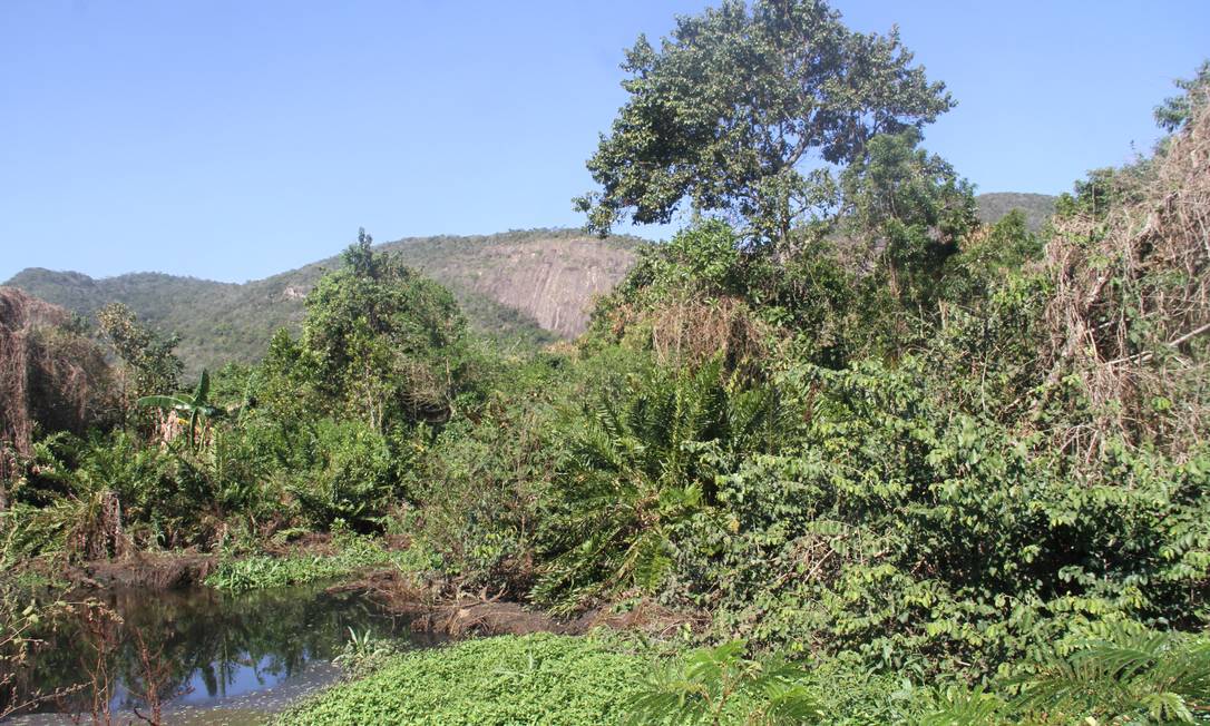 
A ETE Itaipu despeja efluente tratado no Córrego dos Colibris, que passa por dentro de uma unidade de conservação
Foto:
Divulgação
/
AmaDarcy

