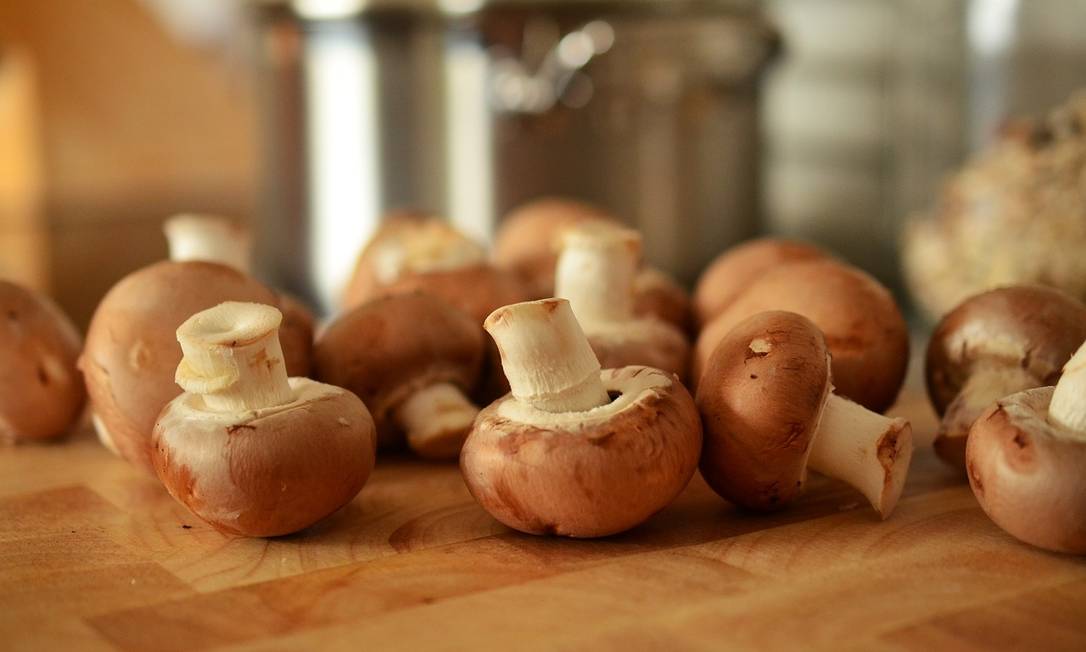 Start-up inova e cria textura de carne em 'bife' feito com raiz de cogumelo Foto: Pixabay