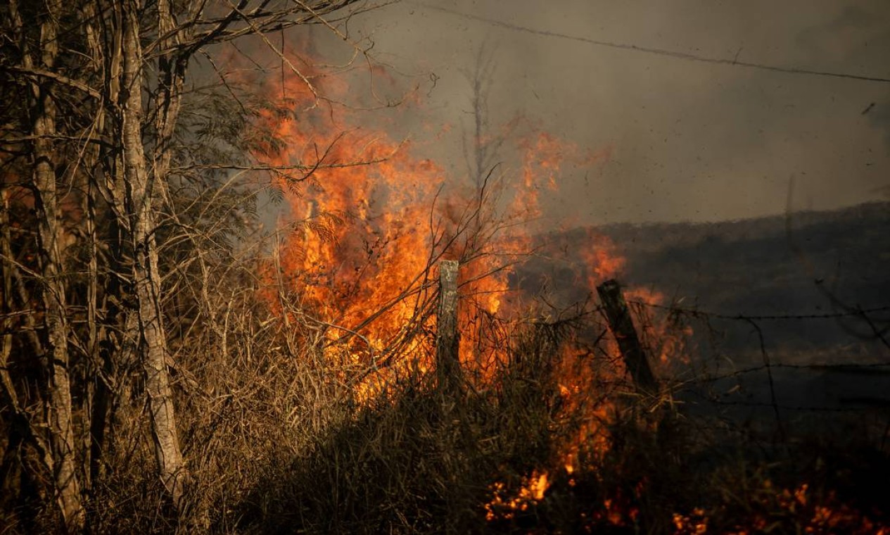 Incêndios se alastram no bioma em que vivem 72% dos b0rasileiros Foto: Brenno Carvalho / Agência O Globo
