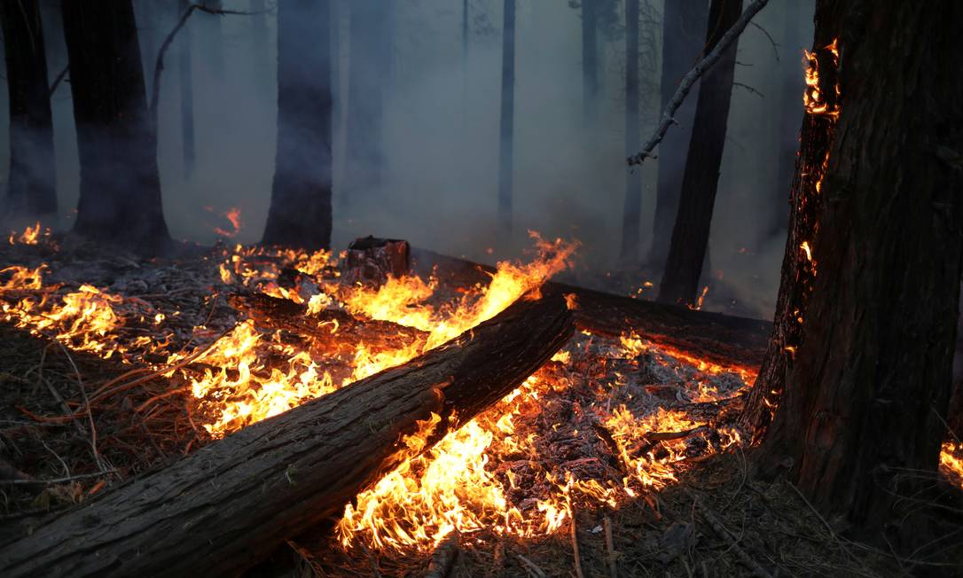 Fogo se alastra na Floresta Nacional da Sequoias, perto do Lago Isabella, na Califórnia Foto: DAVID SWANSON / REUTERS