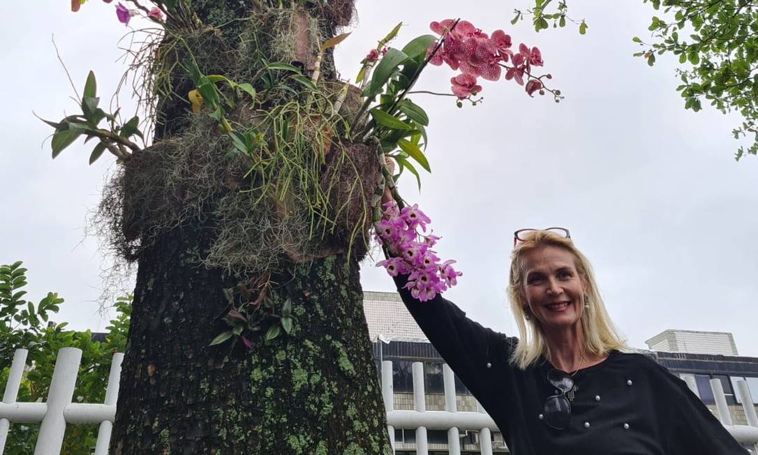 A paisagista Paola Polezel, ao lado de uma das árvores que receberam mudas de orquídeas Foto: Divulgação