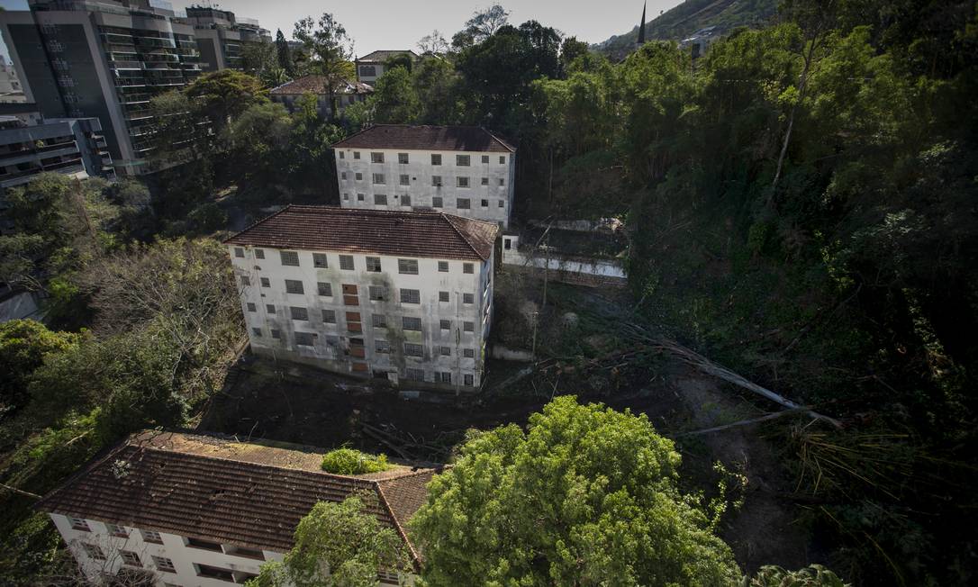 Trezentas e quarenta árvores estão sendo retiradas para dar lugar a residencial de 240 apartamentos na Tijuca. A área verde é vizinha da Floresta Nacional da Tijuca Foto: Márcia Foletto / Agência O Globo