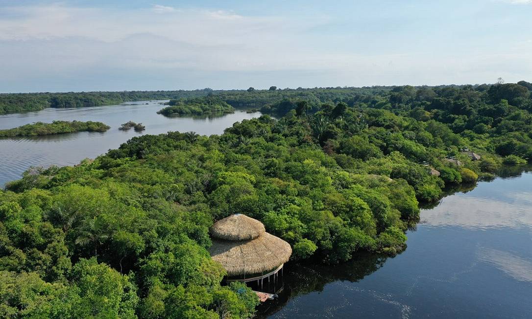 O restaurante-palafita do Juma Amazon Lodge, cercado pela floresta e à beira do Rio Juma, no interior do Amazonas Foto: Divulgação