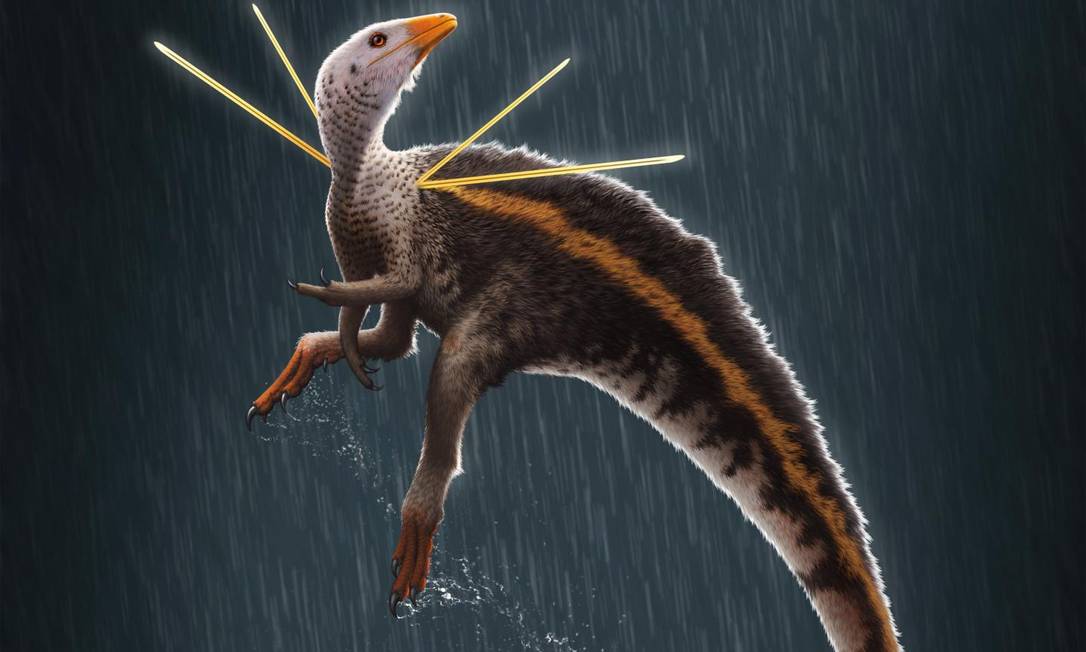 Ilustração do dinossauro Ubirajara jubatus Foto: Ilustração de Bob Nicholls / Paleocreations.com 2020