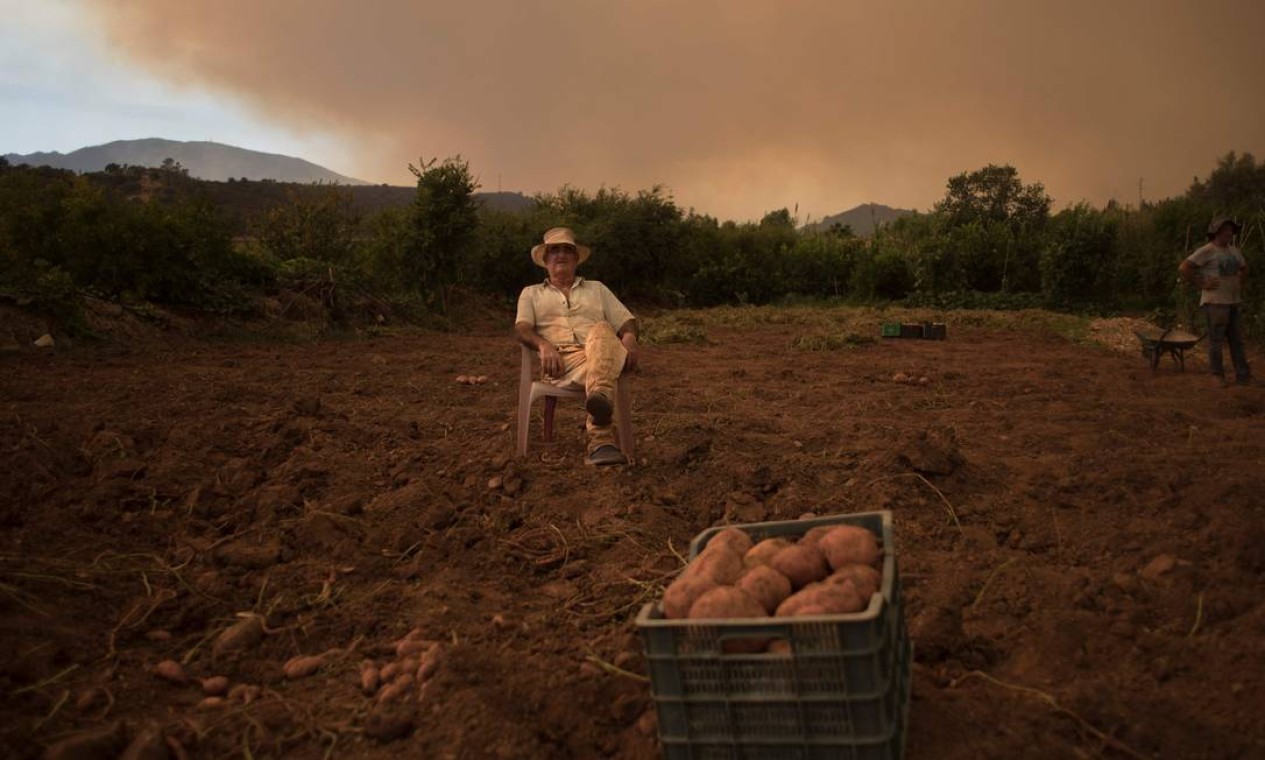 Agricultor em seu campo de batatas na Estepona, província de Málaga sob o céu coberto de fumaça gerada por um incêndio florestal no sul da Espanha Foto: JORGE GUERRERO / AFP