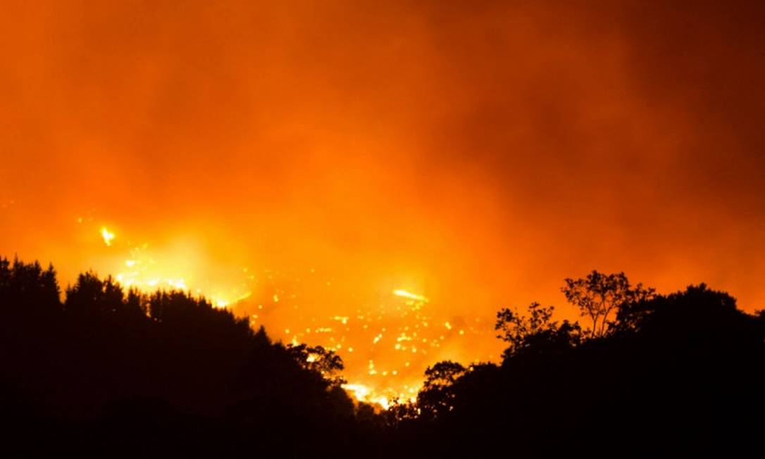 Incêndio já destruiu mais de 7 mil hectares de floresta e causou a morte de um bombeiro na Espanha Foto: JORGE GUERRERO / AFP