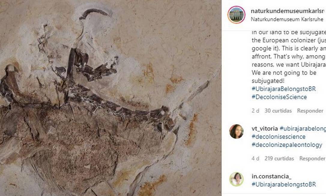 Museu alemão compartilha nota em resposta aos pedidos de repatriação de fóssil brasileiro Foto: Reprodução/Instagram