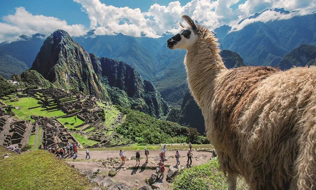 Lhama posa no sítio arqueológico de Machu Picchu, próximo a Cusco, maior cartão-postal do Peru Foto: Gihan Tubbeh / Divulgação / Promperú