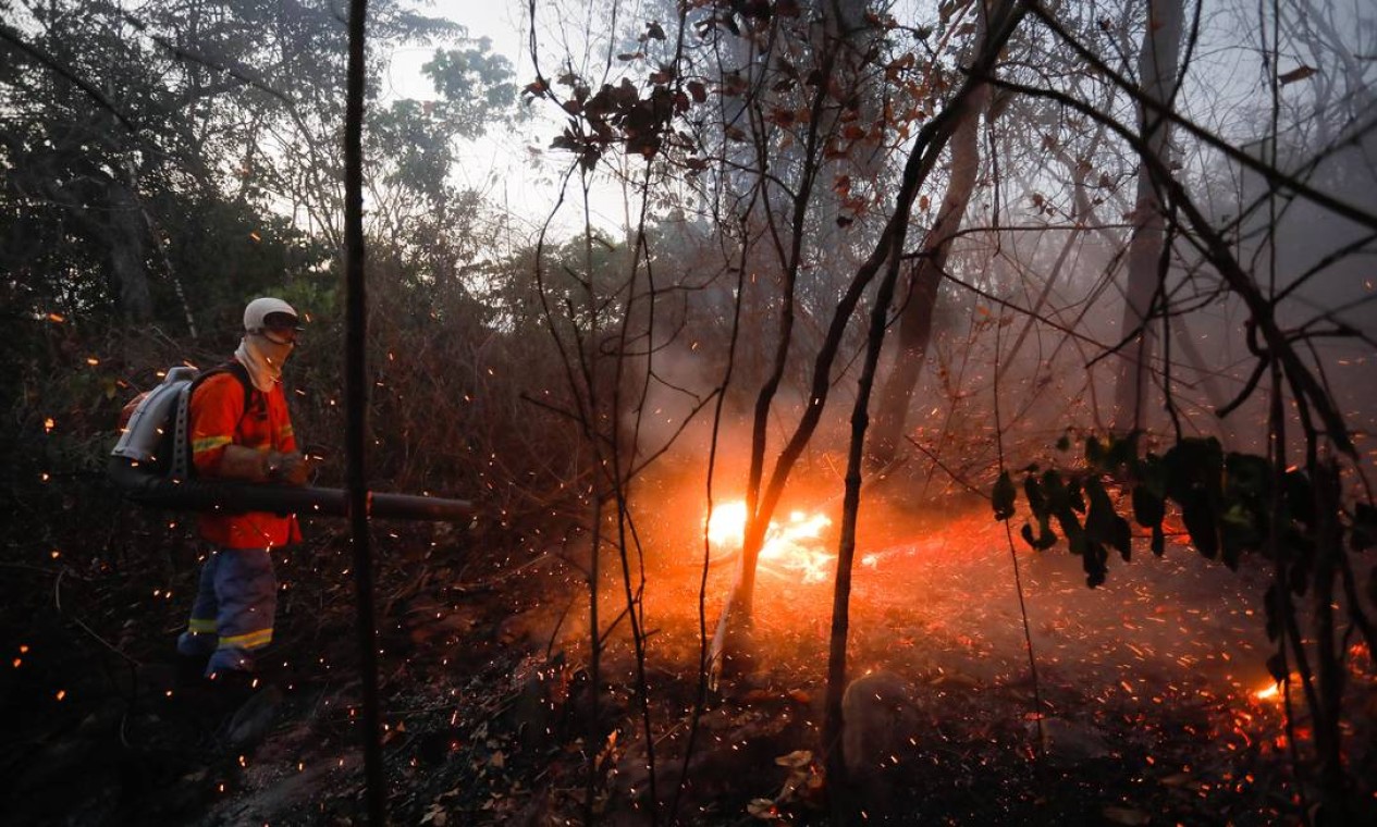 Bombeiro voluntário tenta apagar foco de incêndio dentro da mata Foto: Pablo Jacob / Agência O Globo