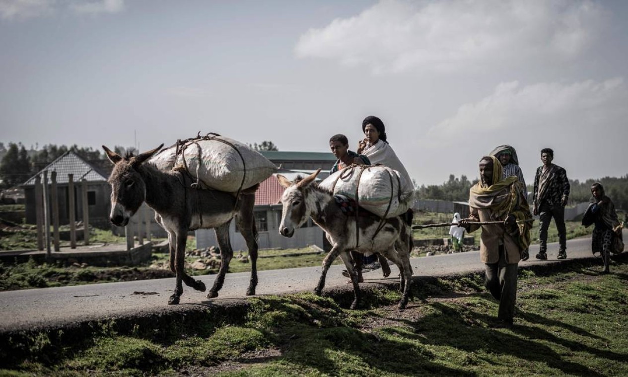 Aldeões caminham com seus burros em Dabat, nordeste de Gondar, na Etiópia Foto: AMANUEL SILESHI / AFP