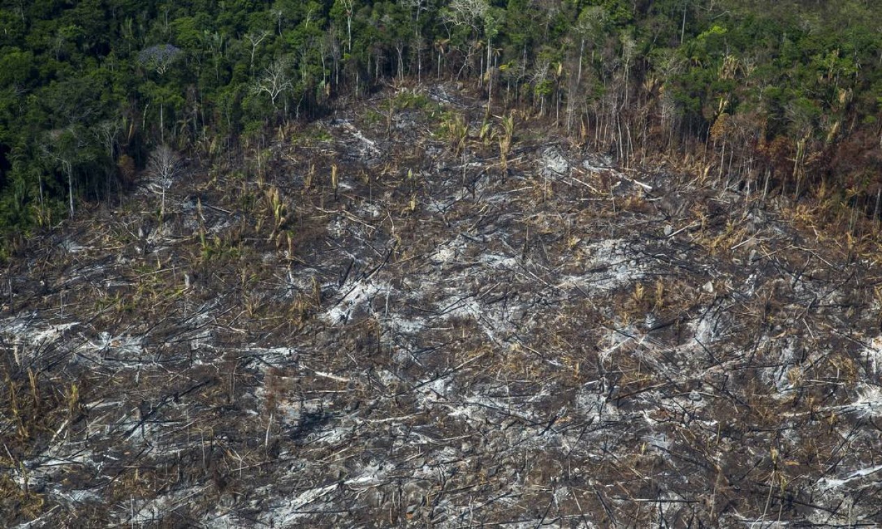 Desmatamento e queimadas na Floresta Amazônica em Porto Velho, estado de Rondônia Foto: Edilson Dantas / Agência O Globo