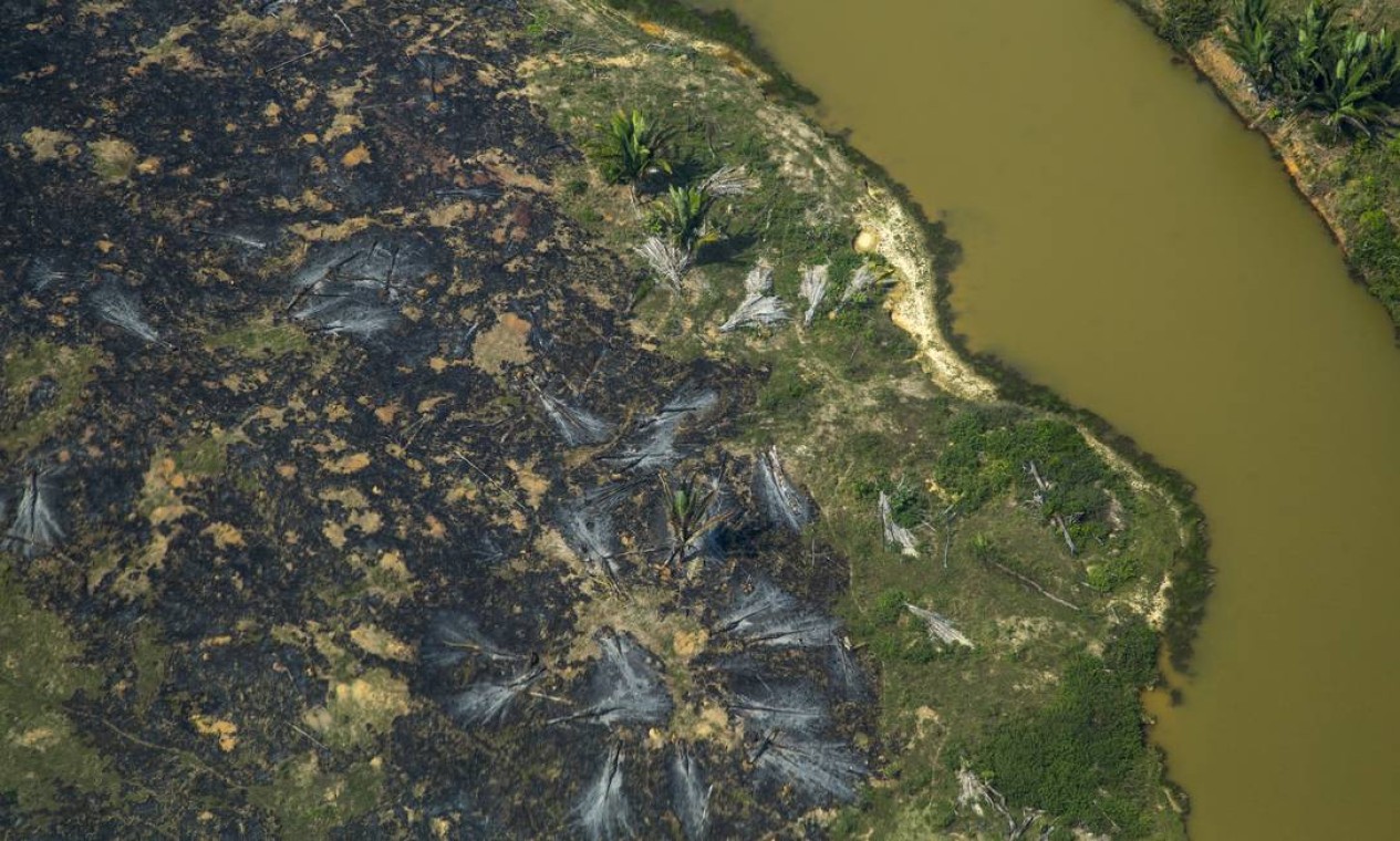 Inpe detectou em Rondônia aumento de 47% nos focos de queimada de 1º de janeiro a 24 de agosto em comparação a igual período de 2020 Foto: Edilson Dantas / Agência O Globo