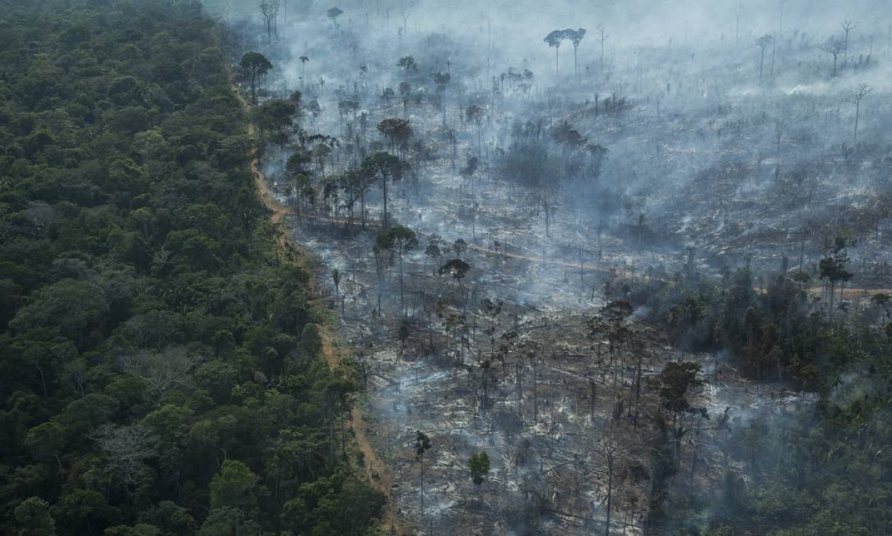 No estado, 42 cidades registraram pelo menos um foco de fogo nos quinze primeiros dias de setembro Foto: Edilson Dantas / Agência O Globo