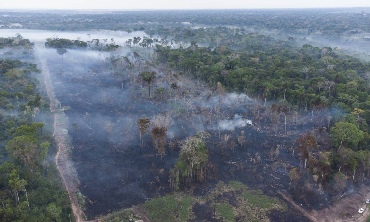 Recorde em agosto: 4.319 queimadas foram registradas no mês passado Foto: Edilson Dantas / Agência O Globo