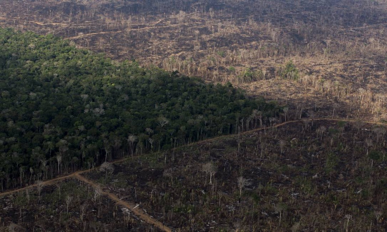 Porto Velho. Desmatamento e queimadas na Floresta Amazônica Foto: Edilson Dantas / Agência O Globo