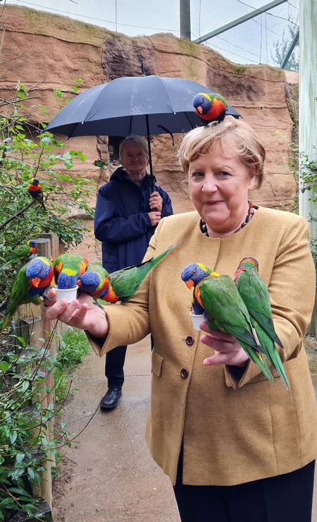 Angela Merkel, alimenta periquito-arco-íris arco-íris, num parque em Marlow, Alemanha Foto: HANDOUT / via REUTERS - 23/09/2021