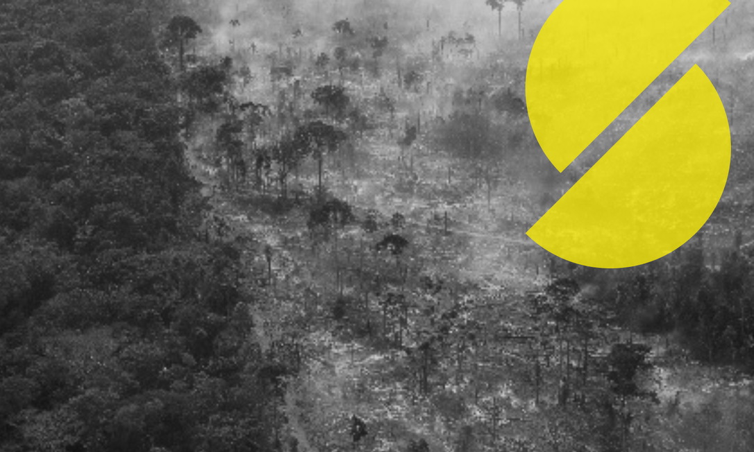 Desmatamento e queimadas na Floresta Amazônica Foto: Edilson Dantas/Agência O Globo