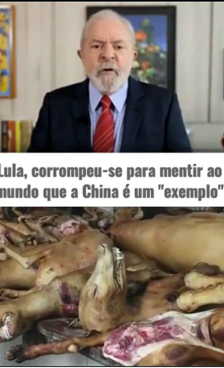 Outro vídeo compartilhado por Bolsonaro mostra Lula, em entrevista, elogiando a China, enquanto cachorros mortos sendo comercializados como alimentos aparecem em imagens abaixo Foto: Reprodução