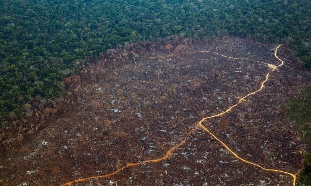 Floresta derrubada por pecuaristas em Lábrea (AM); desmatamento é maior fonte de emissões de CO2 do Brasil Foto: EDILSON DANTAS / O GLOBO