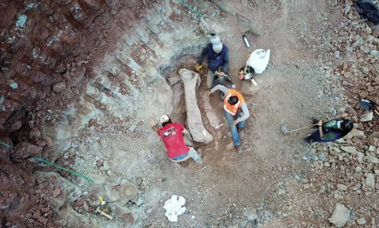DAVINÓPOLIS (MA) - Fêmur de dinossauro foi encontrado em Davinópolis, no Sudoeste do Maranhão tem mais de 1,5 metro Foto: Divulgação / Brado