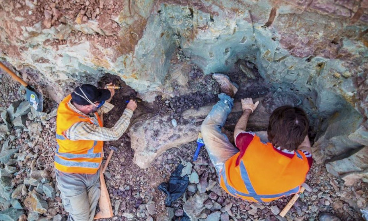 Fêmur de mais de 1,5 metro, pés e mãos, costelas, além de vértebras do animal foram encontrados na região Foto: Divulgação / Brado