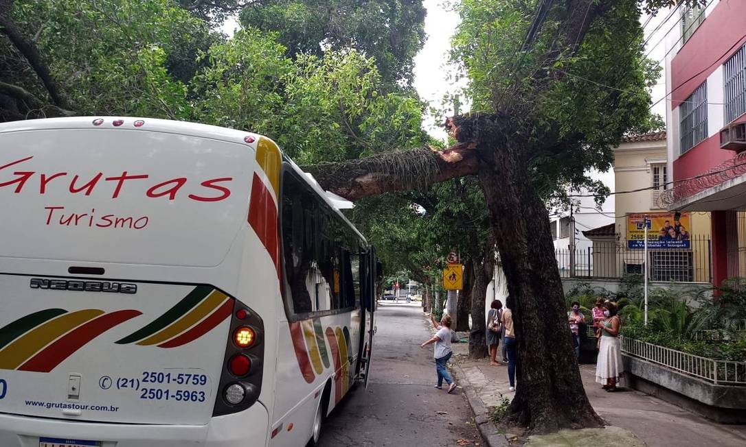 Árvore caiu sobre ônibus que passava na Rua dos Araujos Foto: Twitter / Centro de Operações Rio / Reprodução