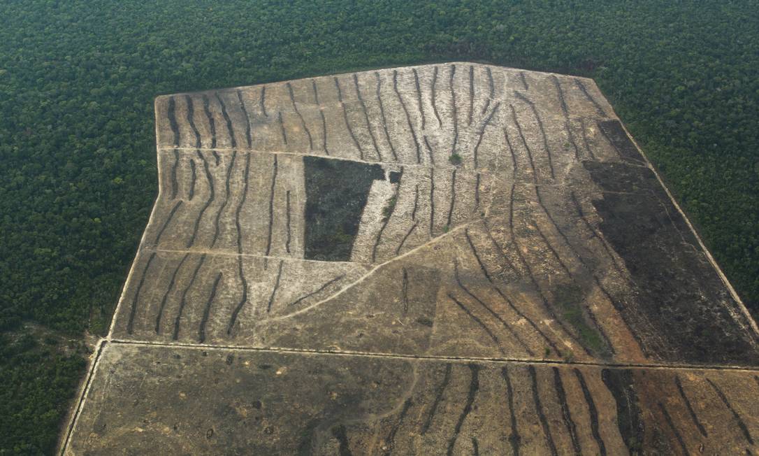  Meio ambiente é a área que mais sofre com apagão de dados no governo federal. Na foto. desmatamento em Rondônia 17/09/2021 Foto: Edilson Dantas / Agência O Globo