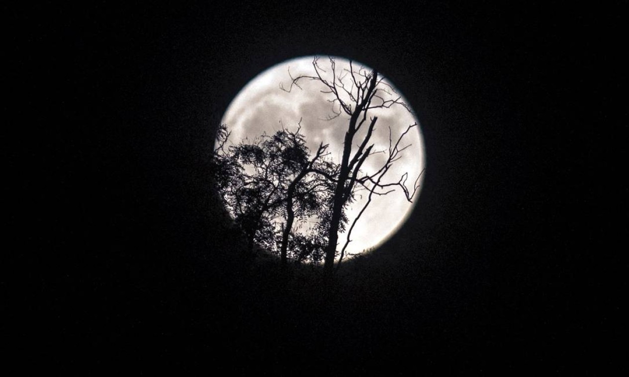 Lua cheia vista através de galhos de uma árvore em Escópia, capital da Macedônia Foto: ROBERT ATANASOVSKI / AFP