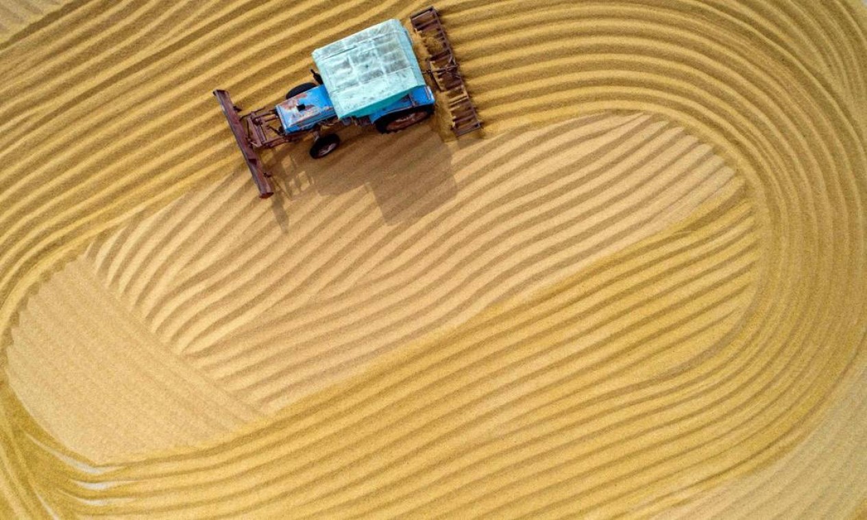 Fazendeiro seca arroz em Huaian, na província de Jiangsu, no leste da China Foto: AFP