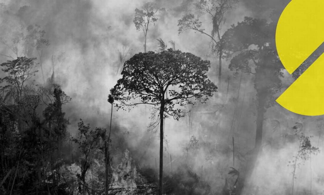 Meta do Brasil para redução do desmatamento é alvo de desconfiança nas Nações Unidas Foto: Arte