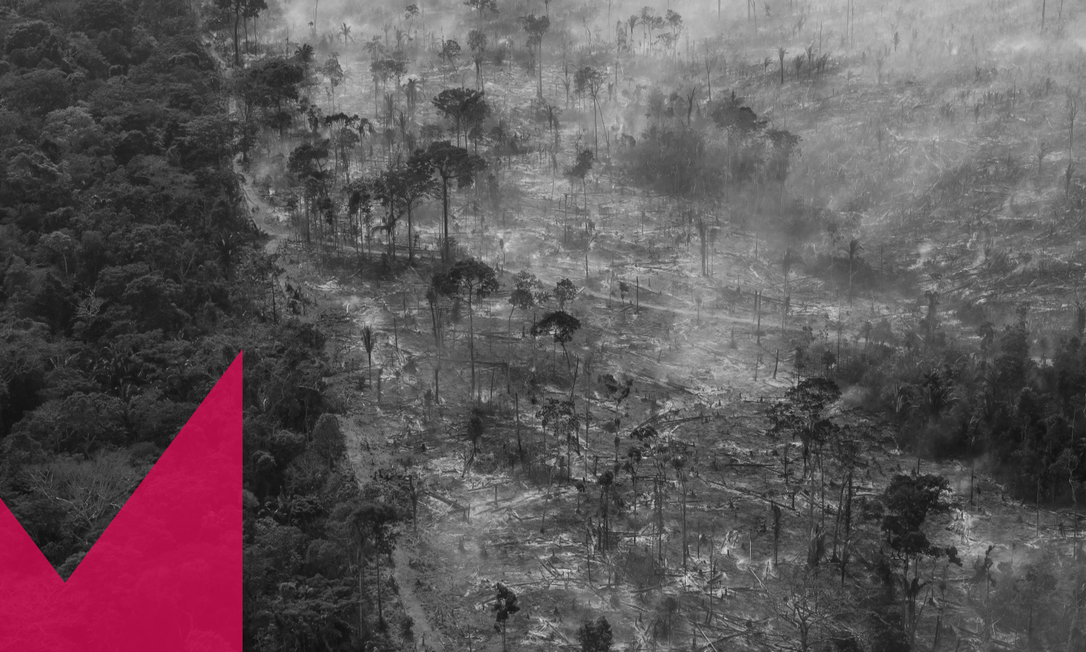 Área de floresta amazônica nativa queimada para desmatamento em Lábrea (AM) Foto: EDILSON DANTAS / O GLOBO