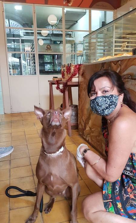 João Padeiro, em Botafogo: primeira casa a receber o selo Pet Friendly, oferecido pela Subsecretaria Estadual de Proteção Animal (RJPET) Foto: Divulgação