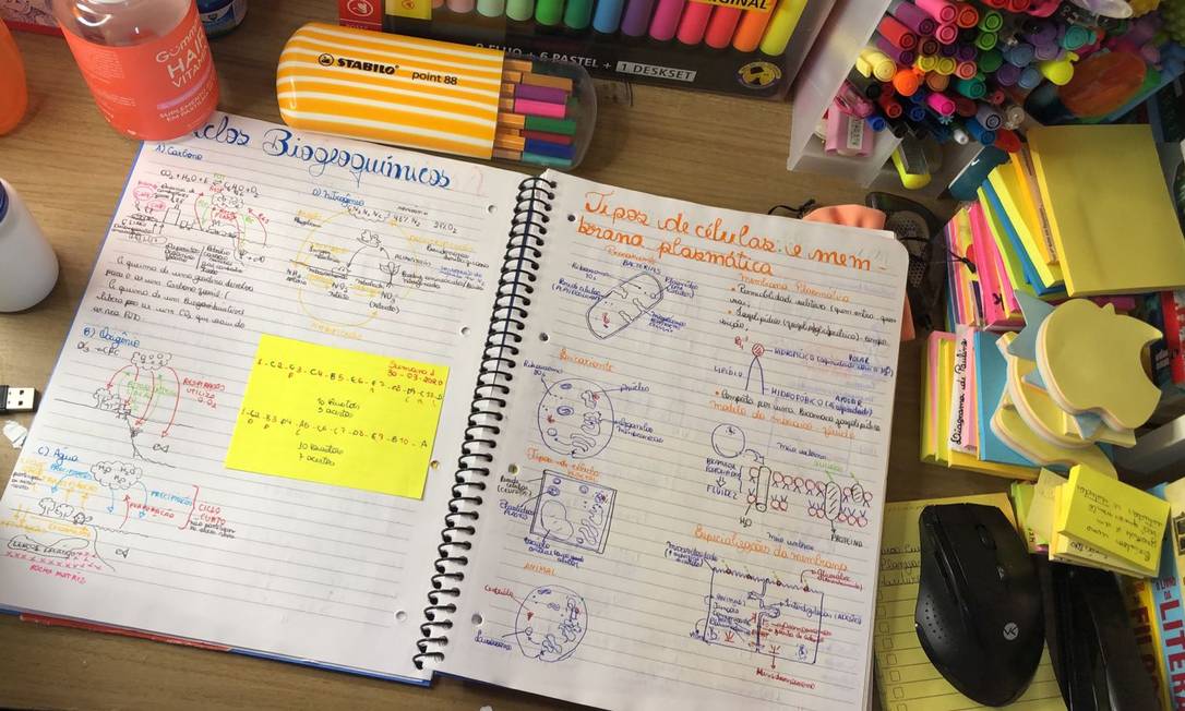 Saiba como usar a nota do Enem para estudar fora