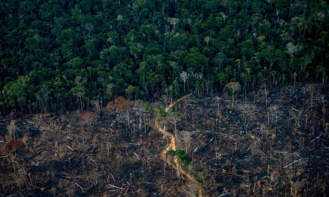 Foto aérea mostra floresta devastada na região de Labrea, no Amazonas Foto: MAURO PIMENTEL / AFP/15-9-21