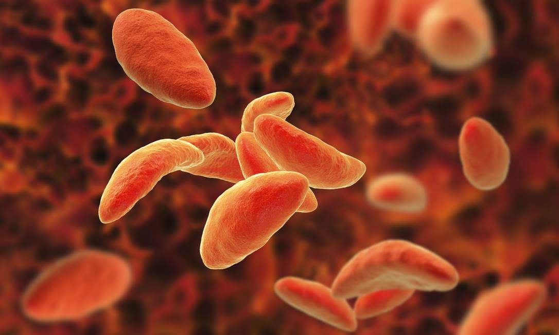 O parasita Toxoplasma gondii, que causa a toxoplasmose, foi alterado geneticamente para ajudar na imunoterapia contra o câncer. Foto: Getty Images / Agência O Globo