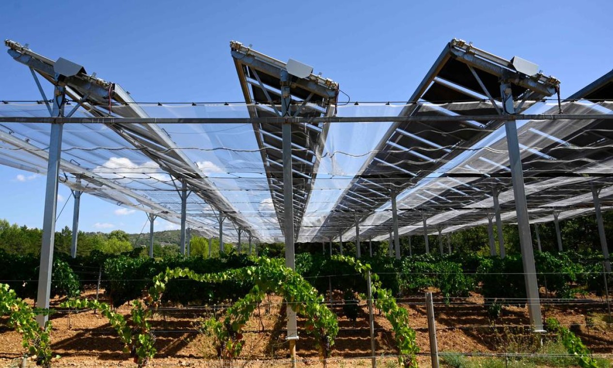 Vinhedo utiliza energia solar, em Rians, sul da França Foto: NICOLAS TUCAT / AFP