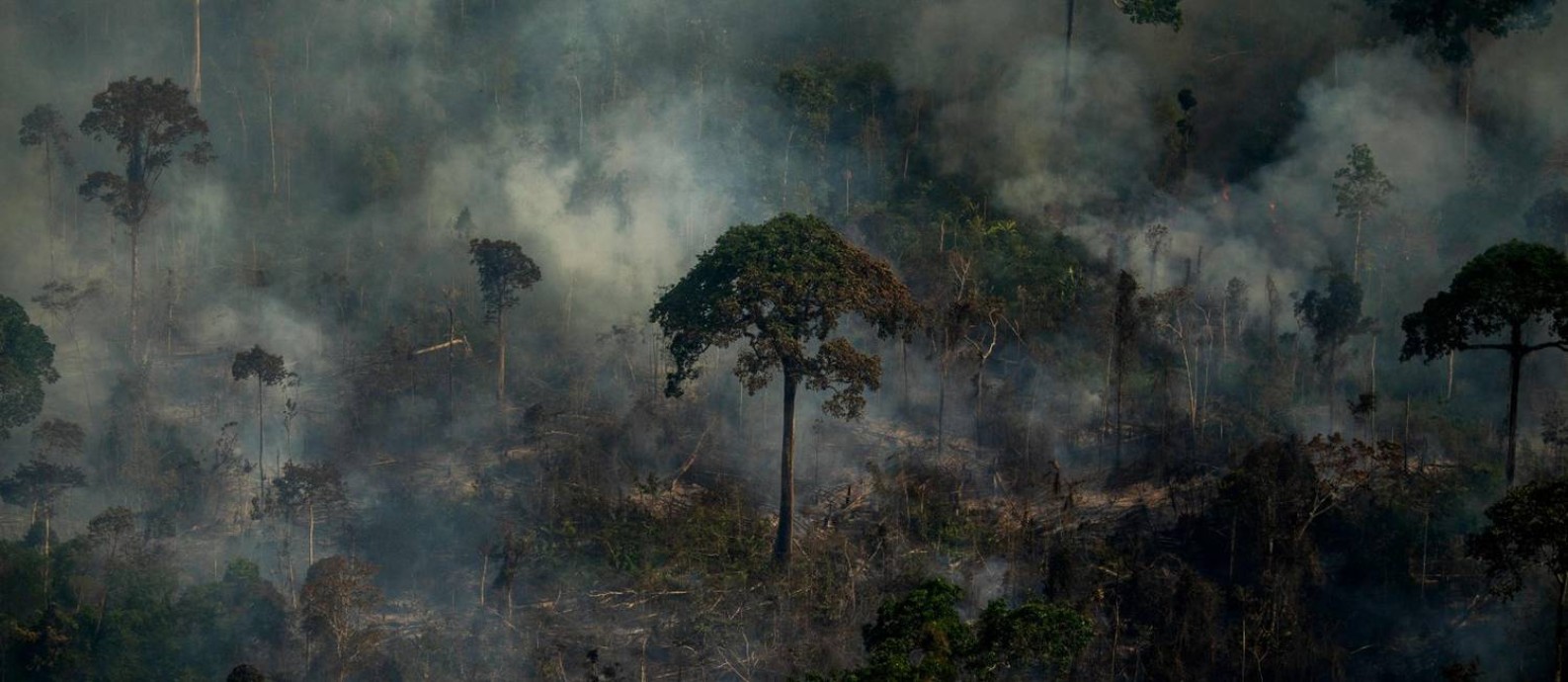 Foto aérea mostra incêndio ilegal em Labrea, no Amazonas Foto: MAURO PIMENTEL / AFP/15-9-21