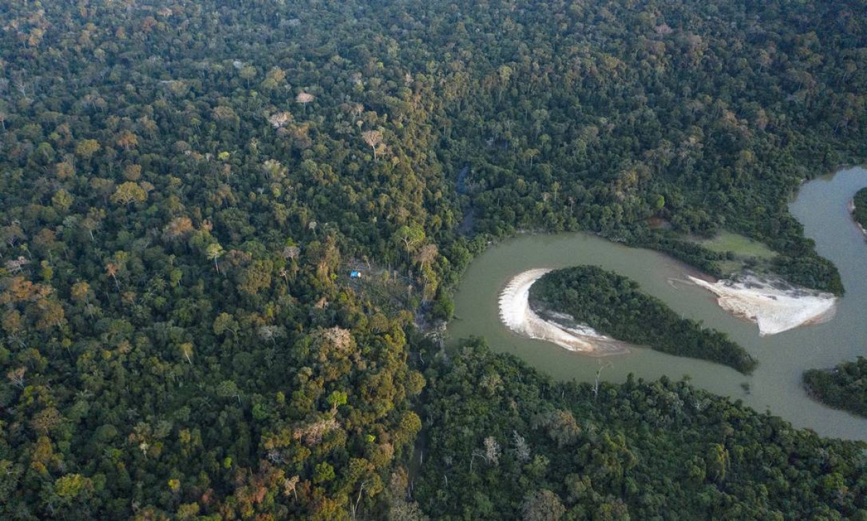 Vista aérea de uma região de floresta no estado de Rondônia onde fazendeiros abordados pela reportagem do NYT atuam Foto: VICTOR MORIYAMA / NYT/11-7-2021