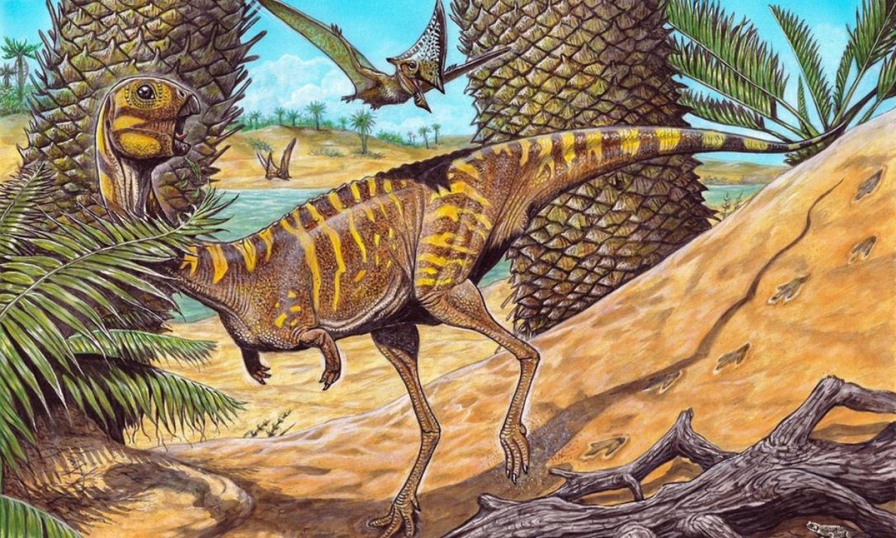 O Museu Nacional da UFRJ anunciou nesta quinta-feira (18) a descoberta de uma nova espécie de dinossauro brasileira, o Berthasaura Leopoldinae Foto: Museu Nacional
