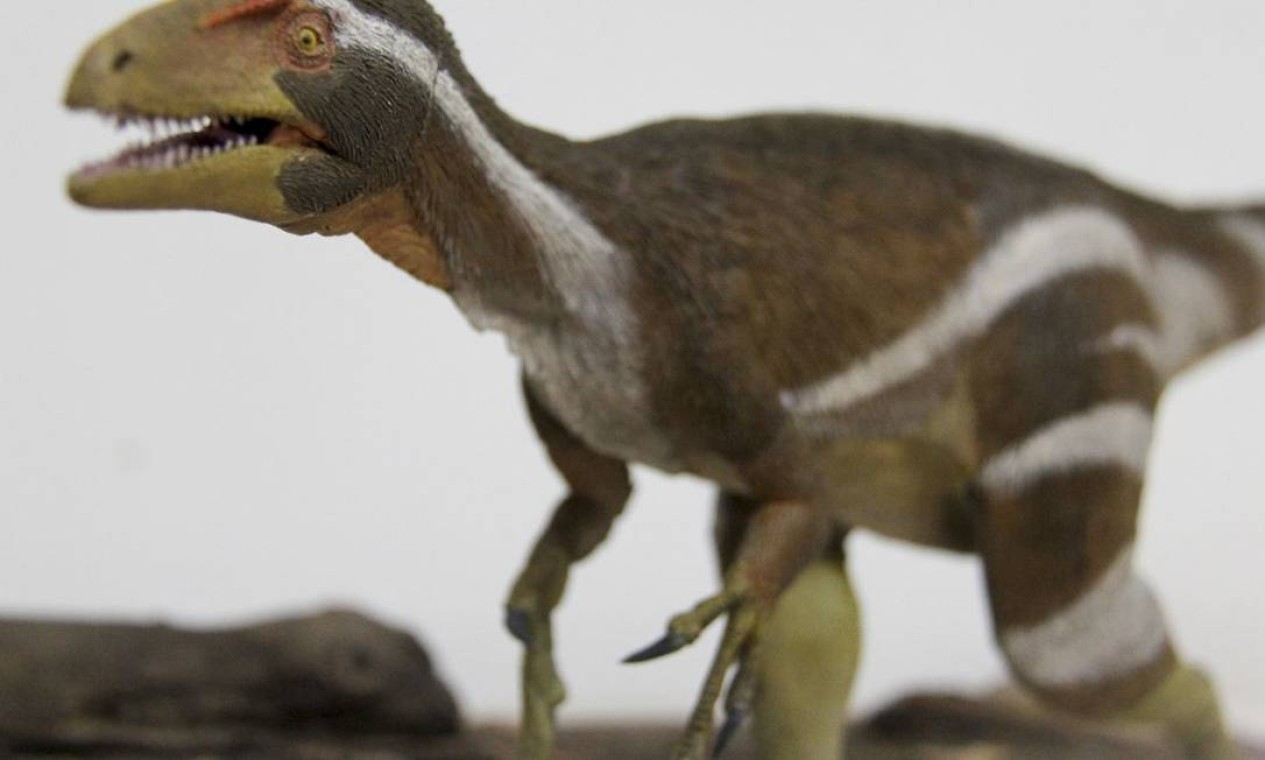 CARIRI (CE) - Detalhe do pé do fóssil do Aratasaurus museunacionali, encontrado no Ceará, em 2008 – o fóssil 'sobreviveu' ao incêndio do Museu Nacional, no Rio