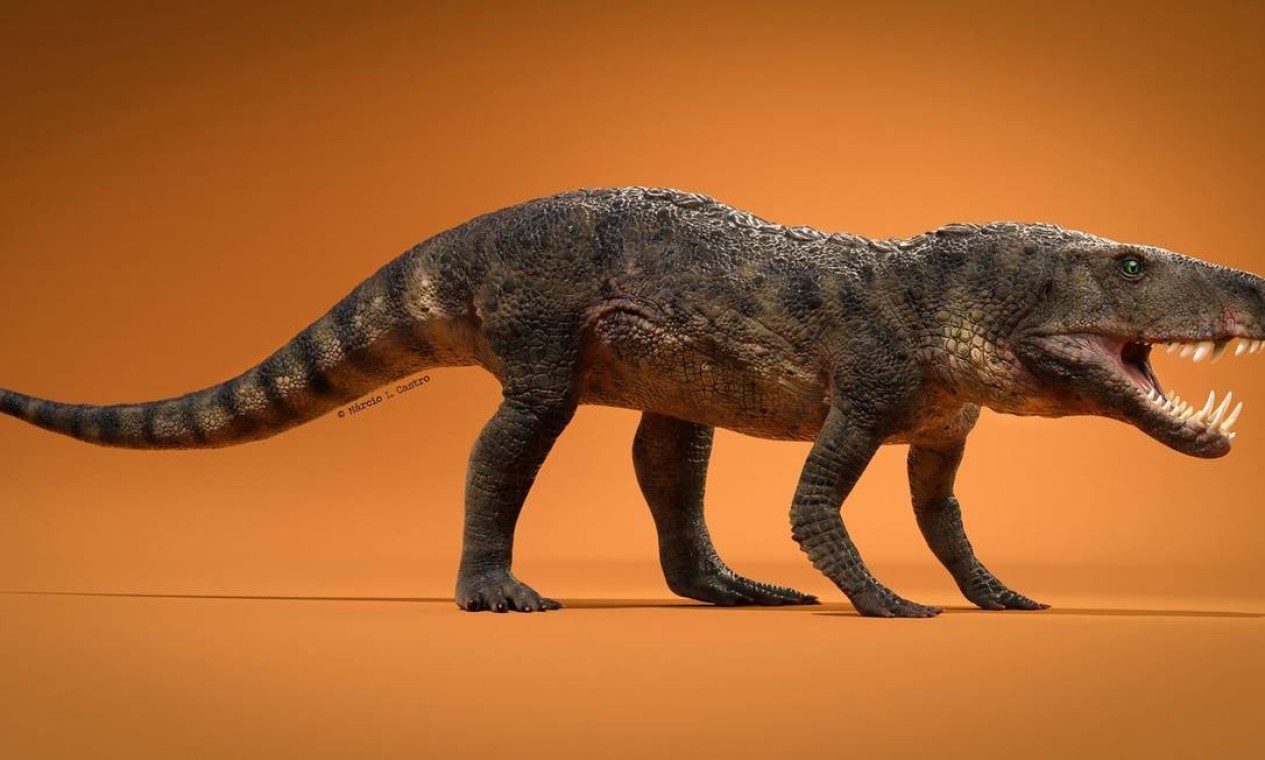 PORTO ALEGRE (RS) - Dynamosuchus collisensi, viveu 230 milhões de anos atrás durante o período Triássico