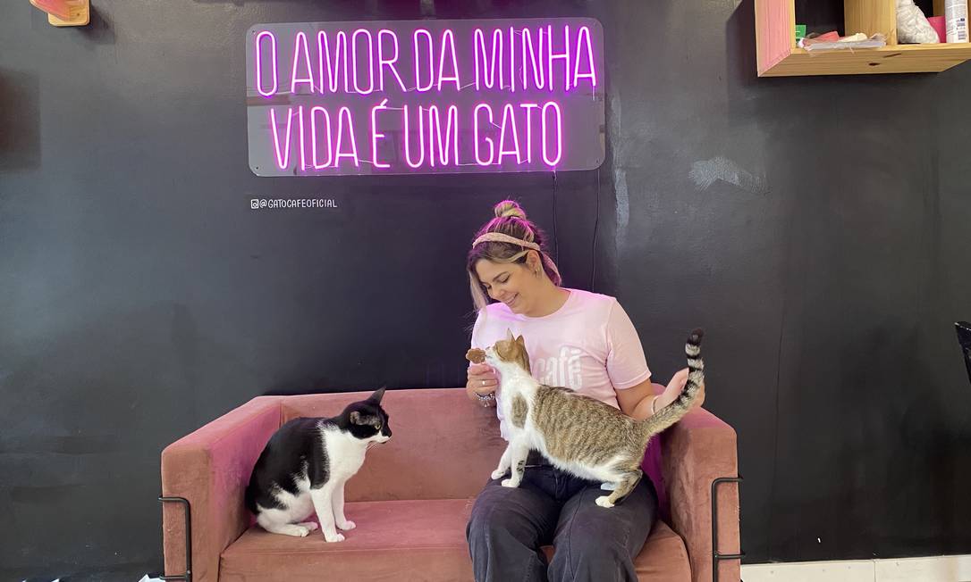 Giovanna Molinaro, da Gato Café, com felinos na matriz da casa, em Botafogo, que agora chega à Barra Foto: Divulgação