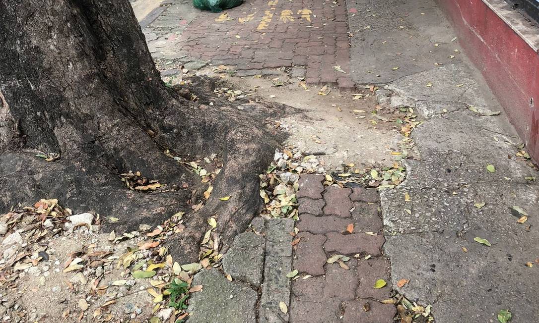 Visconde de Silva. Árvore na calçada compartilhada entre bicicletas e pedestres Foto: Divulgação
