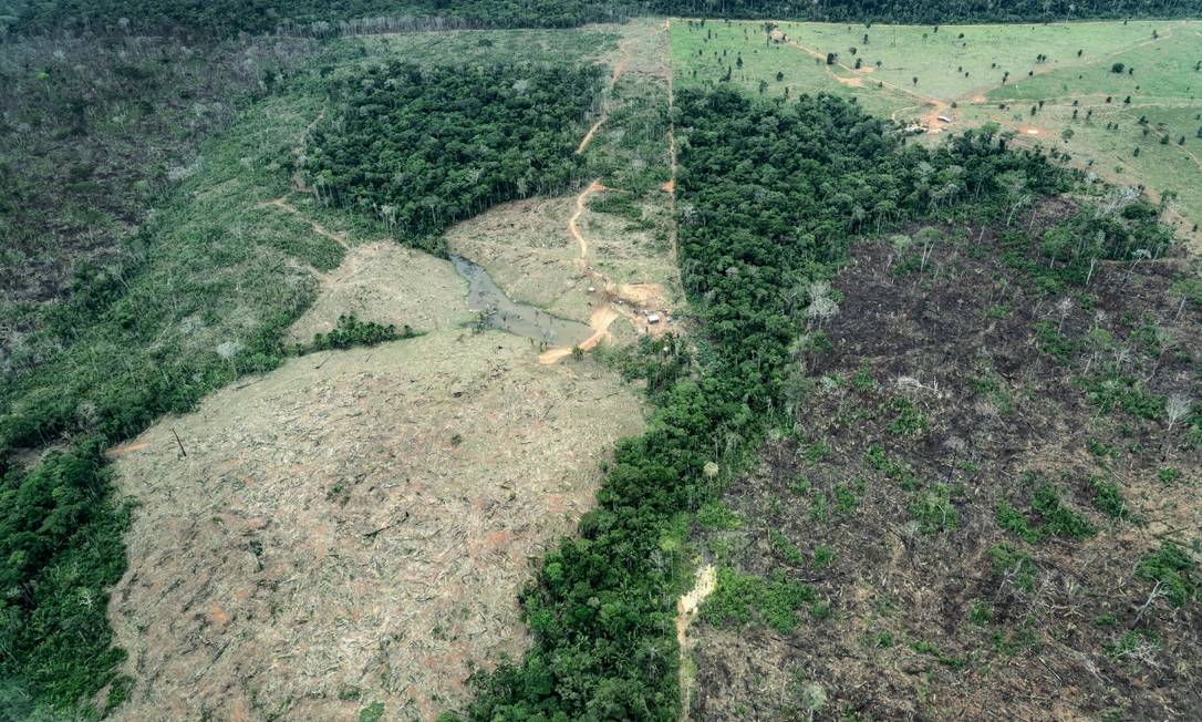 Área da Amazônia Legal mato-grossense desmatada Foto: Rogério Assis/ISA