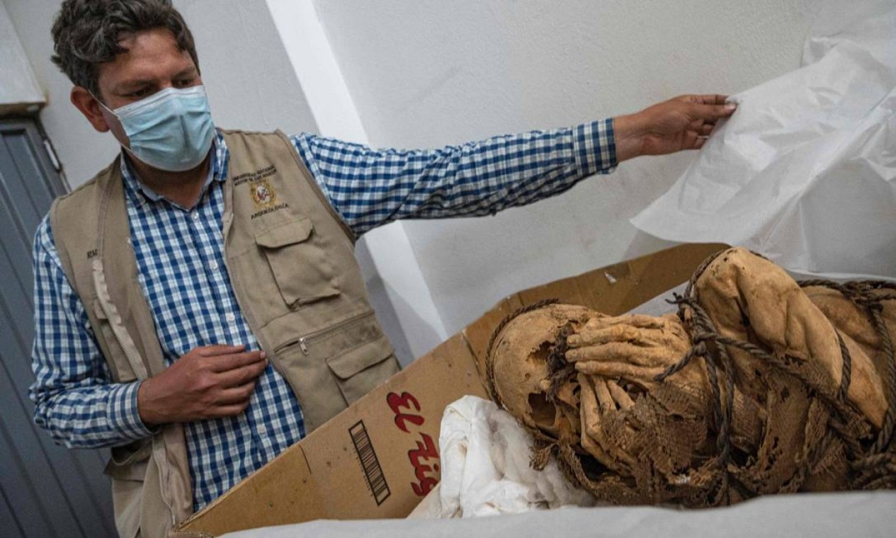 O arqueólogo Pieter Van Dalen Luna, chefe responsável pelo projeto Arqueológico de Cajamarquilla mostra uma múmia com idade estimada entre 800 e 1.200 anos, desenterrada no início deste mês no sítio arqueológico pré-inca de Cajamarquilla, a 25 quilômetros de Lima, no Peru Foto: CRIS BOURONCLE / AFP