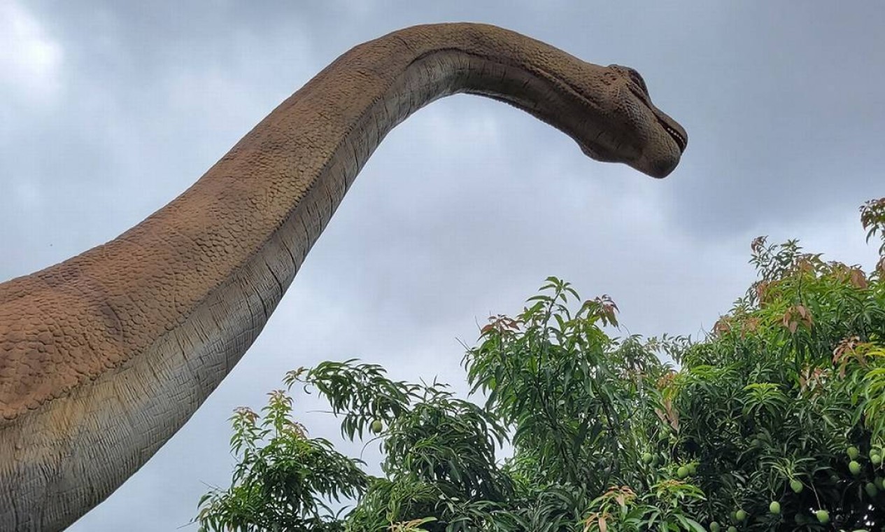 No Vale dos Dinossauros de Olímpia, o braquiossauro parece mesmo se alimentar de mangas Foto: Eduardo Maia / O Globo
