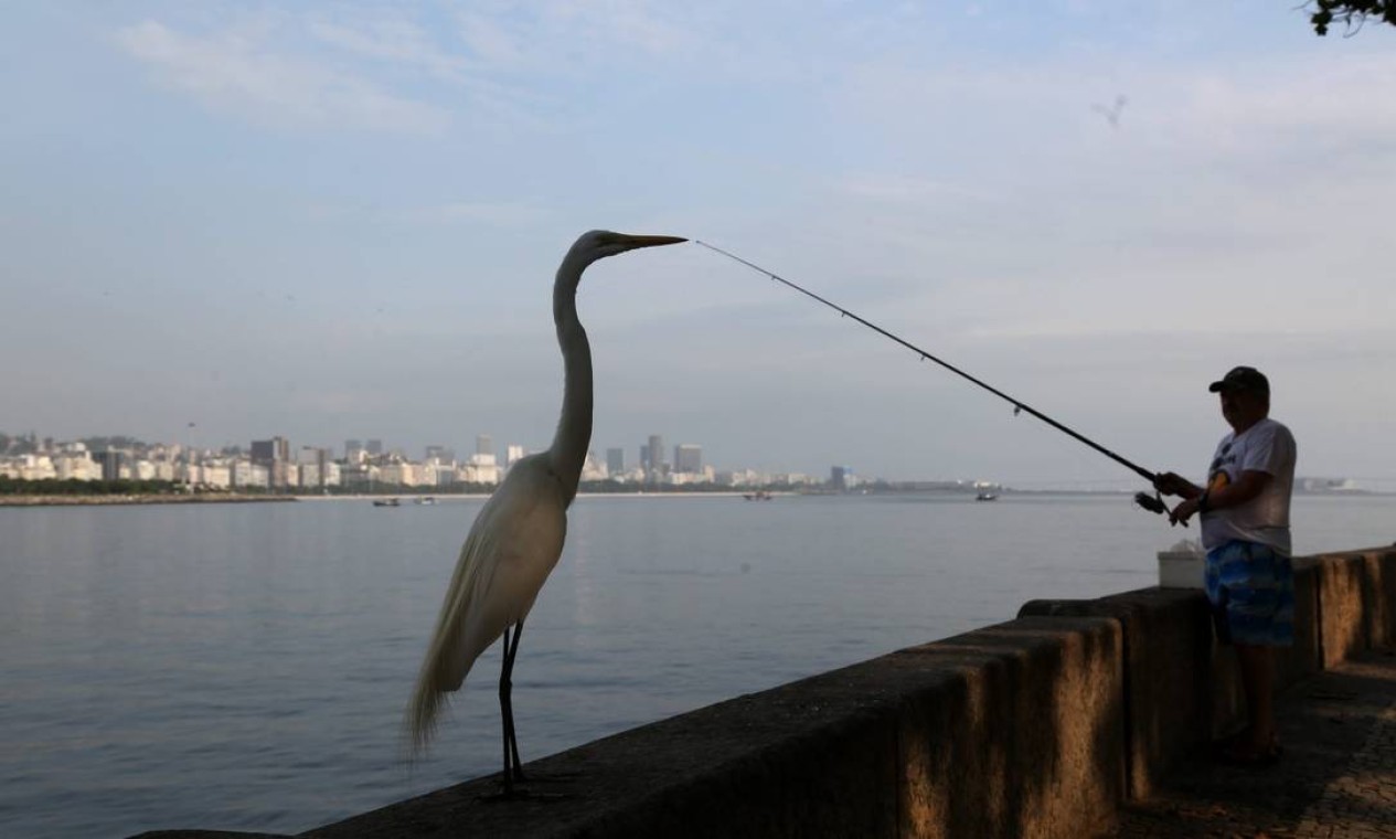 A Urca e a crônica visual do bairro centenário - Jornal O Globo