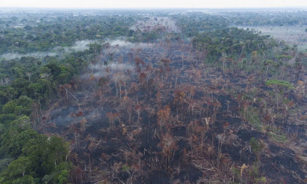 Vazios abertos na Amazônia
sem controle. Em Porto Velho (RO), o desmatamento é avistado próximo a pistas de pouso clandestinas Foto: Edilson Dantas / Agência O Globo - 17/09/2021